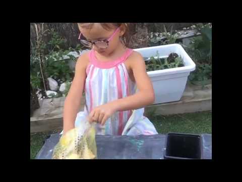 découvrez notre guide complet sur le jardin montessori, un outil précieux pour initier vos enfants à la nature et à l'apprentissage par la pratique. apprenez à créer un espace de jardinage adapté aux principes montessori, favorisant l'autonomie, la créativité et le respect de l'environnement.